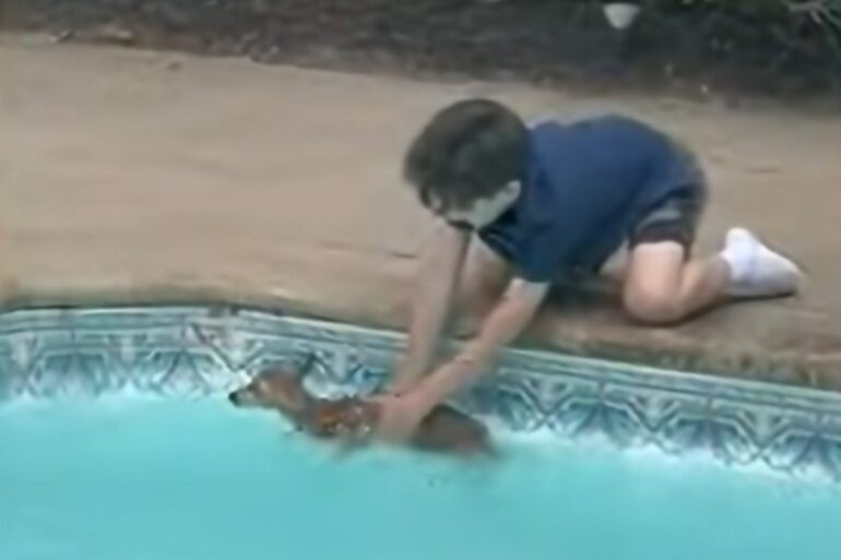 Kid rescues deer