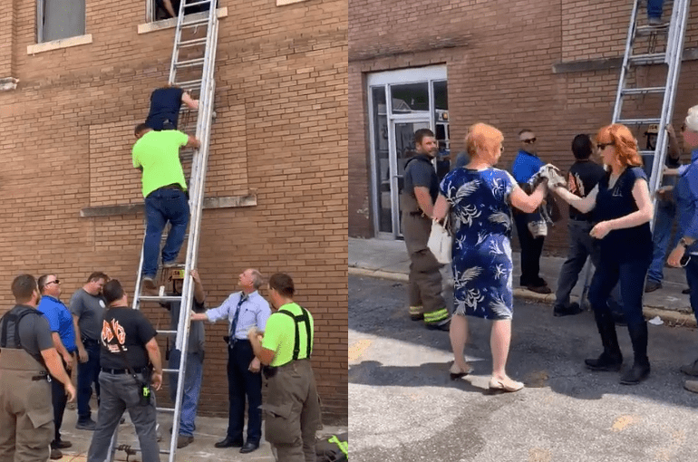 A group of people on ladders