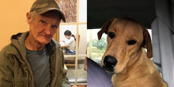A person and a dog