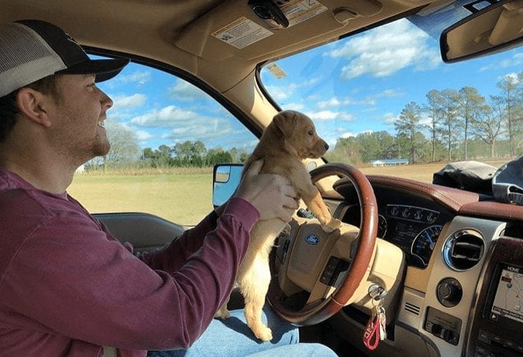A man driving a car with a dog in the driver's seat