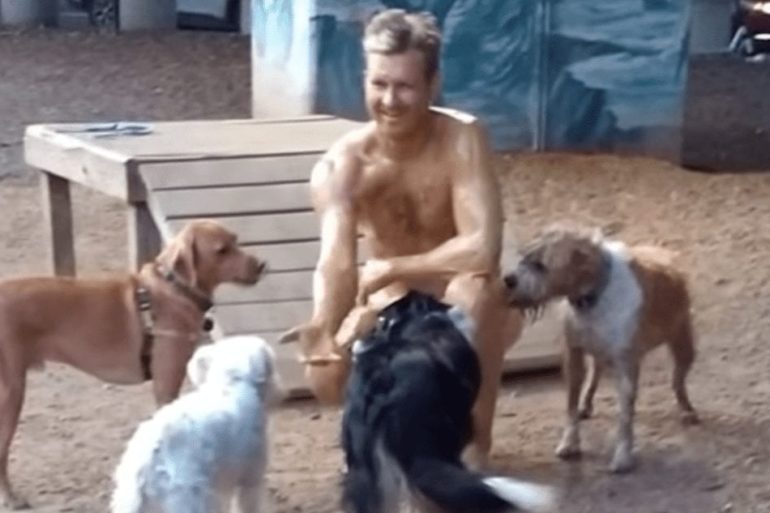 A person with a group of dogs