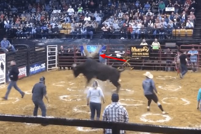 A person throwing a baseball at a rodeo