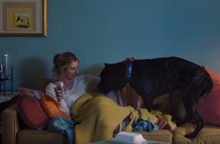 A person sitting on a couch with a dog on the lap