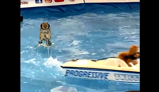 A dog jumping into a boat