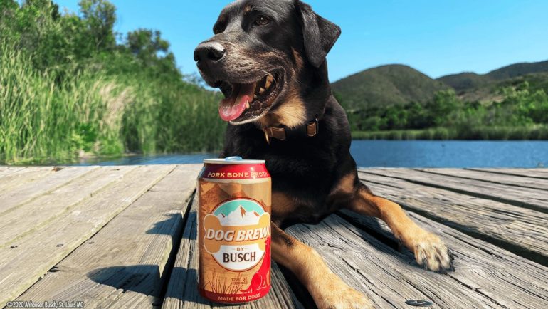A dog sitting on a dock with a can of beer