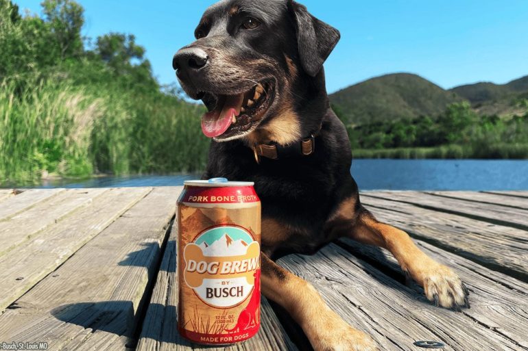A dog sitting on a dock with a can of beer
