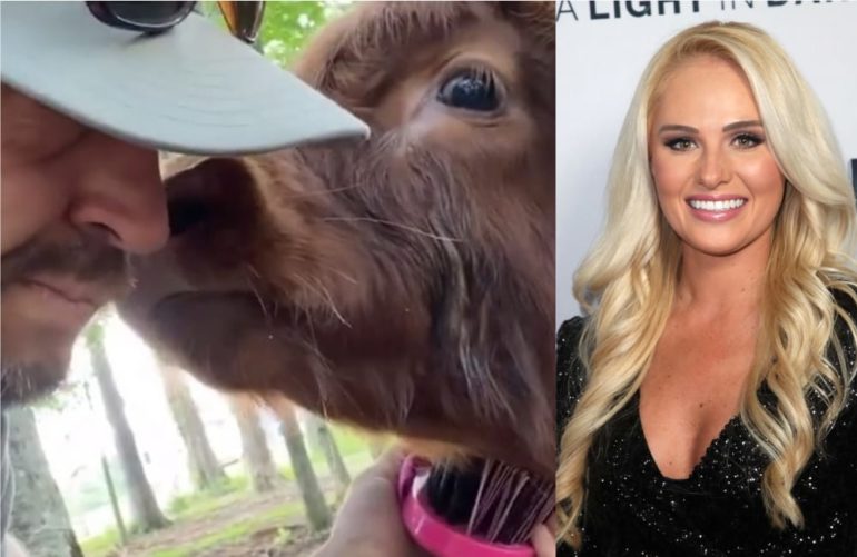 Tomi Lahren taking a selfie with a horse