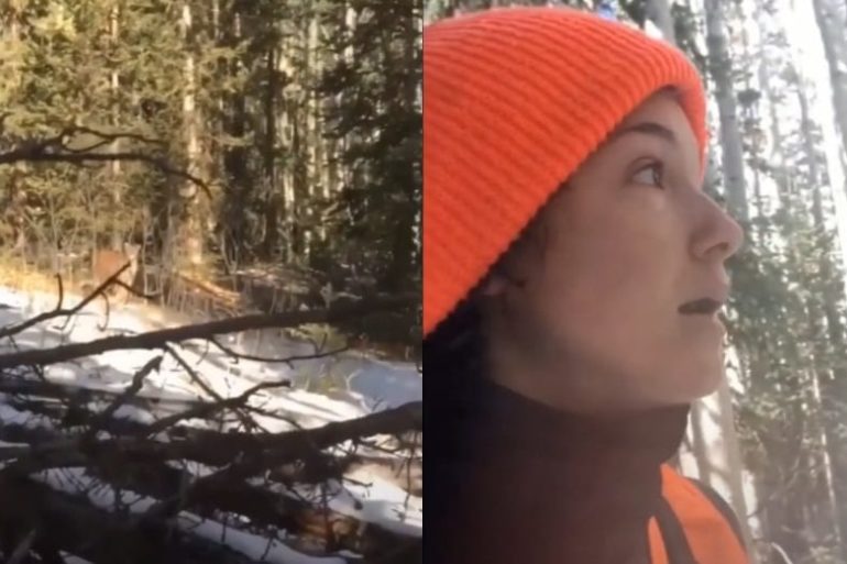 Mountain lion stalks and charges hunter