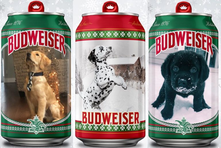 A group of cans with dogs in them