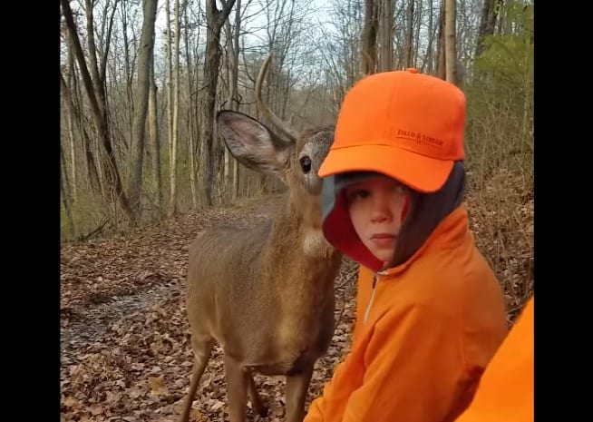 A boy in an orange hat standing next to a deer