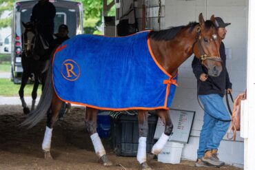 Kentucky Derby Renegade