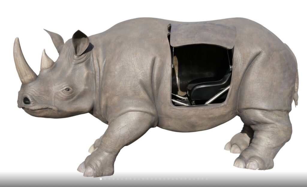 Ace Ventura rhino