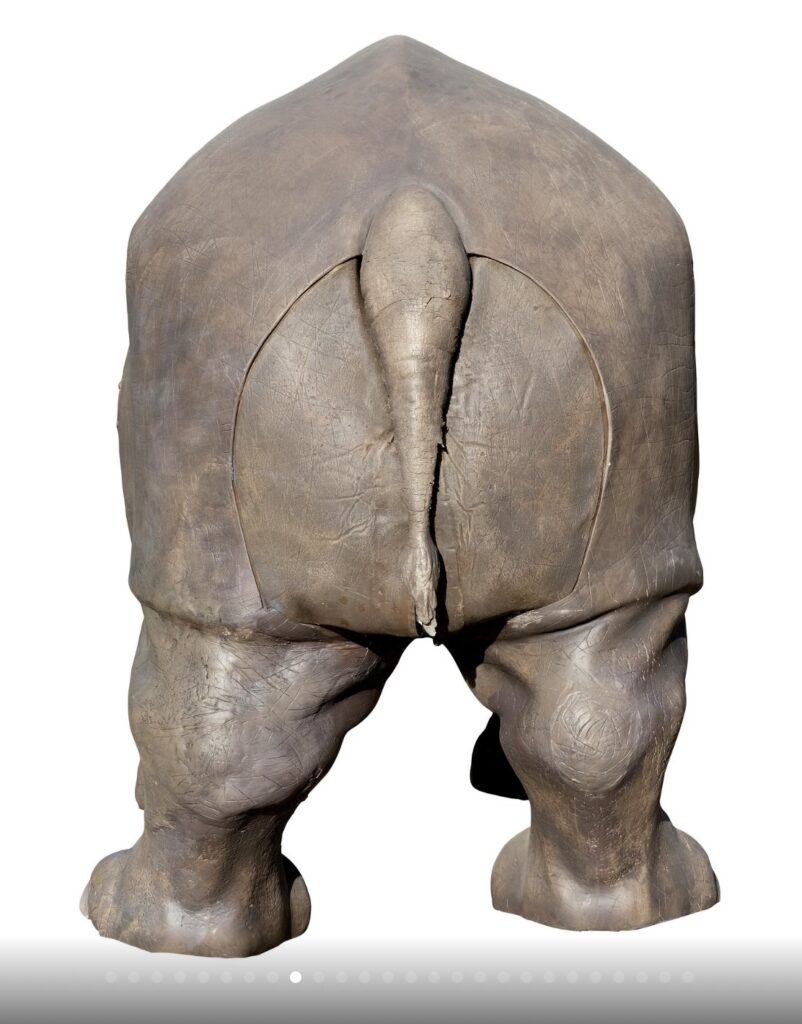 Ace Ventura rhino