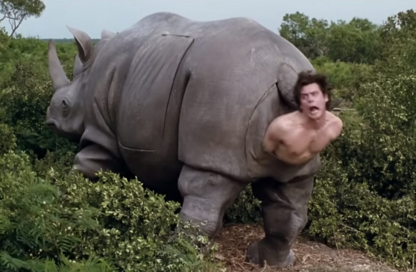 The Famous “Butt Birth” Rhino From ‘Ace Ventura’ Is Going Up For Auction & It’s Surprisingly Cheap