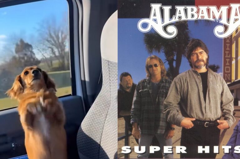 Alabama dog