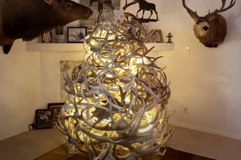 A christmas tree with lights