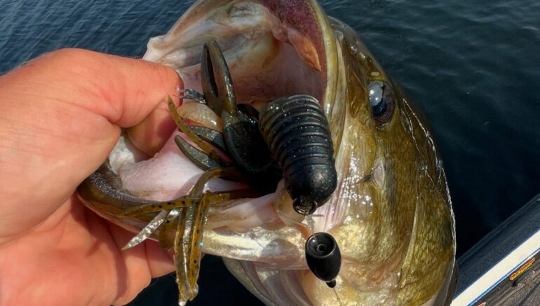 Bass baits