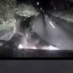 Bear attack