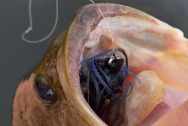 Black Sheep Custom Tackle Jig