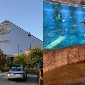 Bass Pro Shops