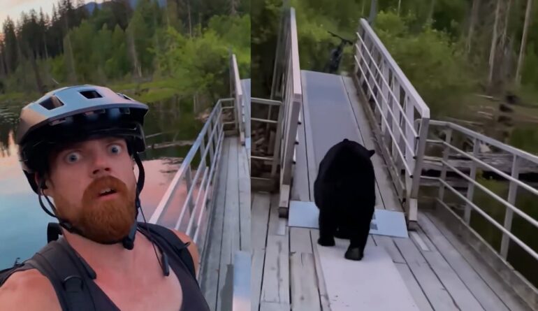 bear biker