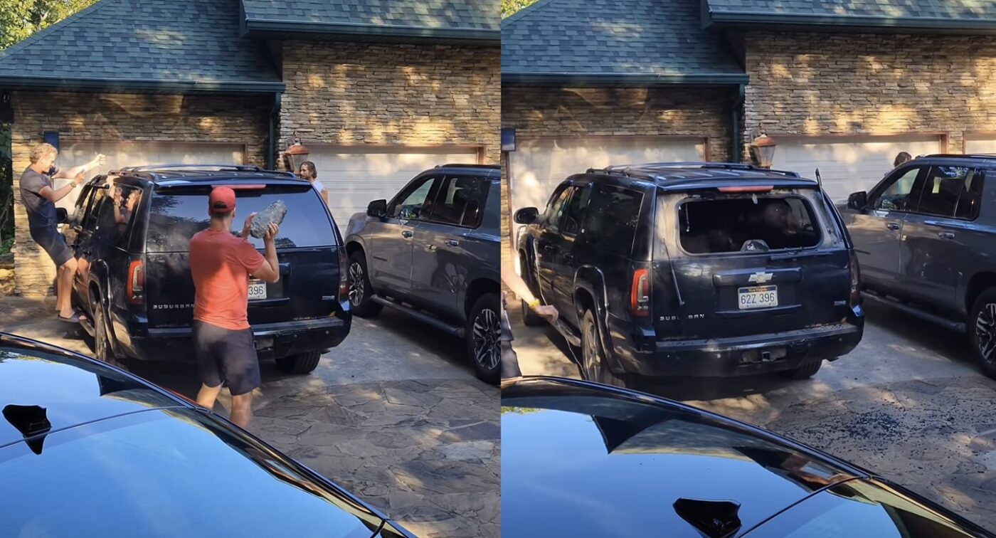 Gatlinburg Tourists Smash Out SUV’s Back Window to Stop A Black Bear From Destroying The Inside