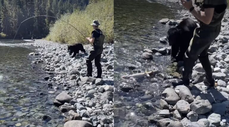 Fishing with bears