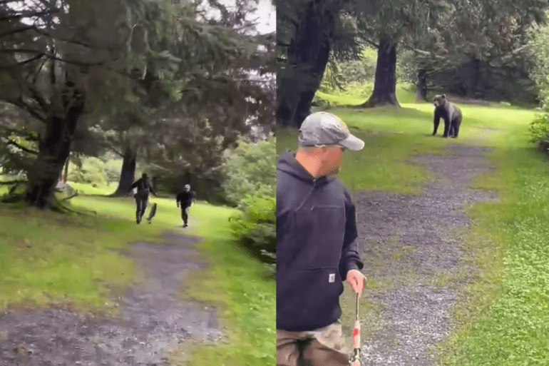 Fishermen run from bear