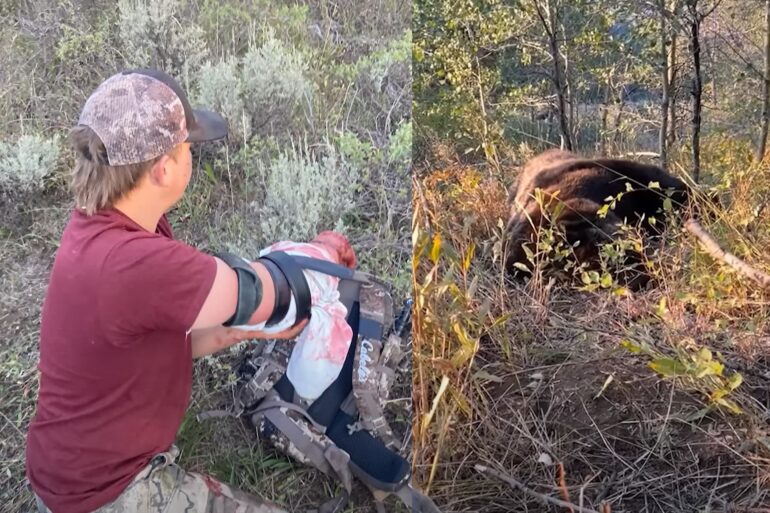 hunter attacked by bear