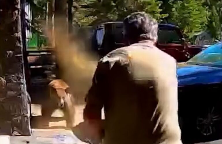 Bear spray