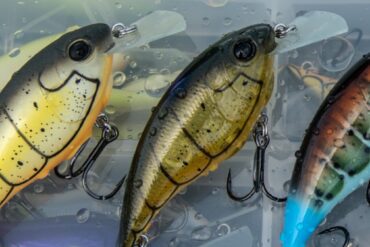 Berkley cranks