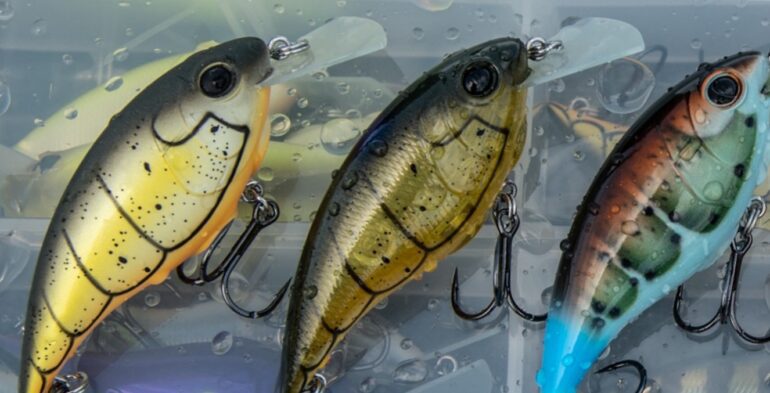 Berkley cranks