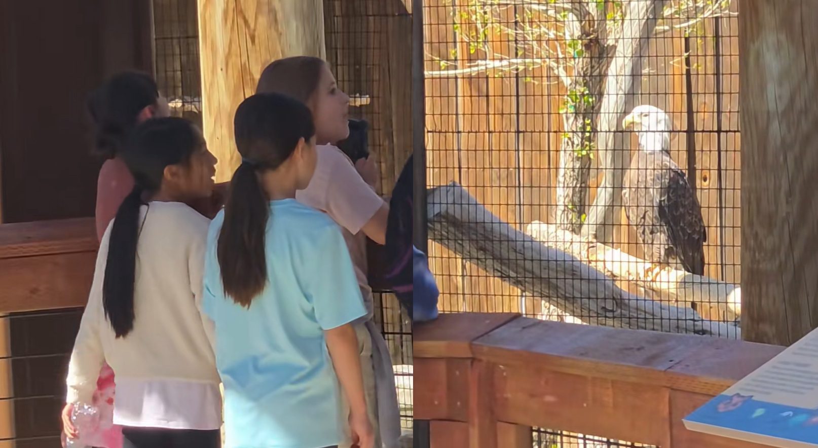 California Children Go Viral Singing The National Anthem To Bald