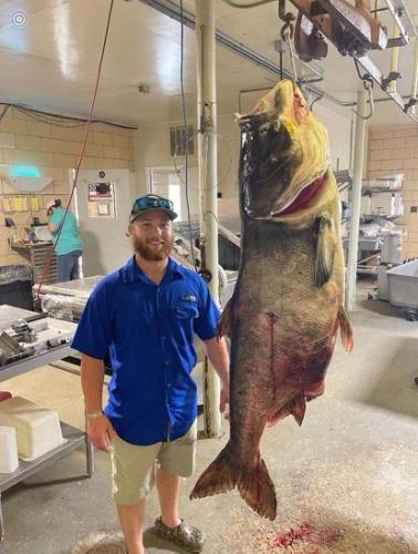 A man standing next to a large fish in a factory