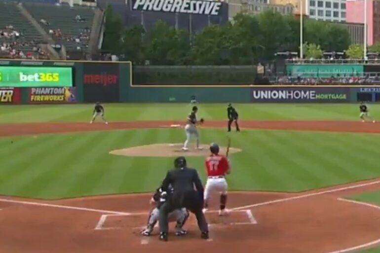 MLB bird hit