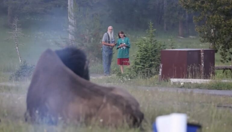 Yellowstone man