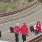 A group of people walking on a train track