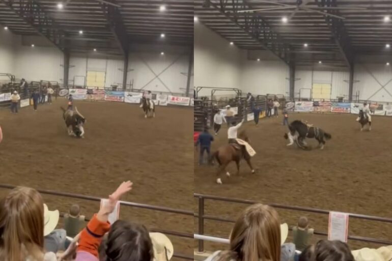 Bucking horse