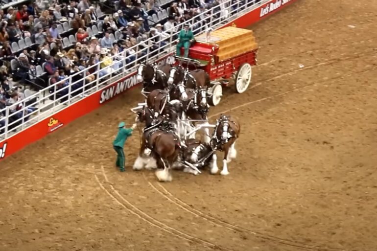 Budweiser wagon