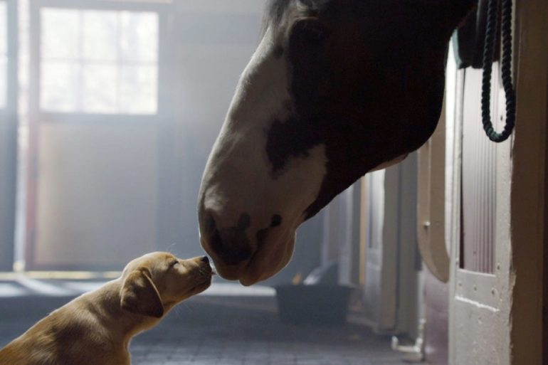 Budweiser Super Bowl