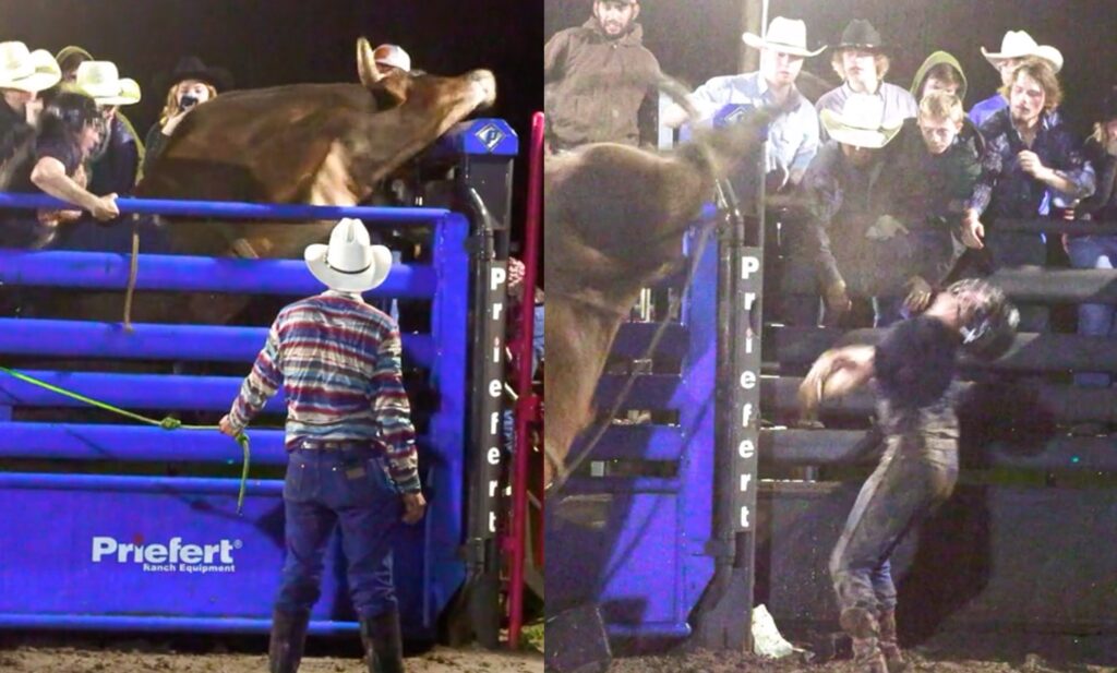 Texas Bull Rider Gets Kicked Square In The Chin… And Gets Right Back Up ...