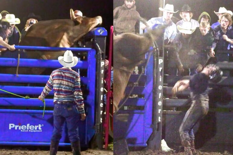 Bull rider