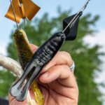 Buzzbait
