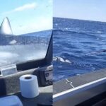 Mako shark fisherman