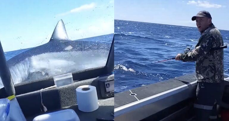 Mako shark fisherman