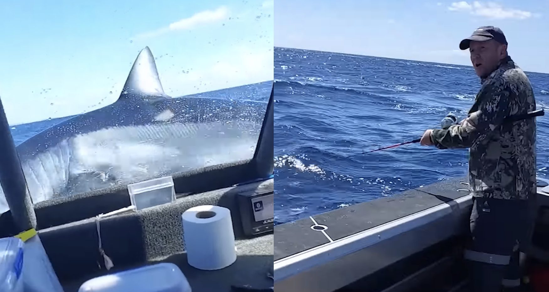 Fishermen Shocked as a High-Flying Mako Shark Lands Right on Their Boat