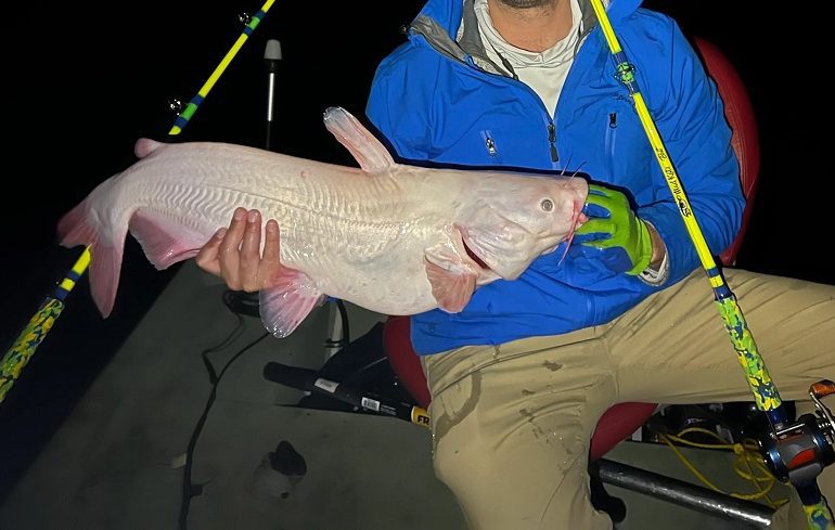 A person holding a fish