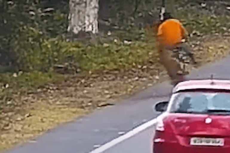 mountain lion drills cyclist
