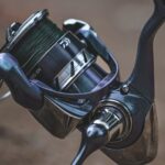 Daiwa
