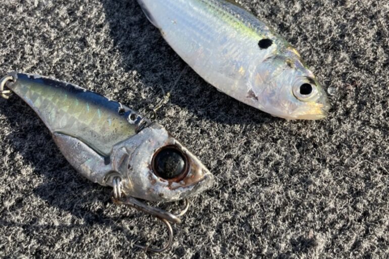Damiki Vault fishing lure